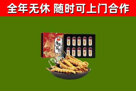 绥化烟酒回收冬虫夏草礼盒.jpg